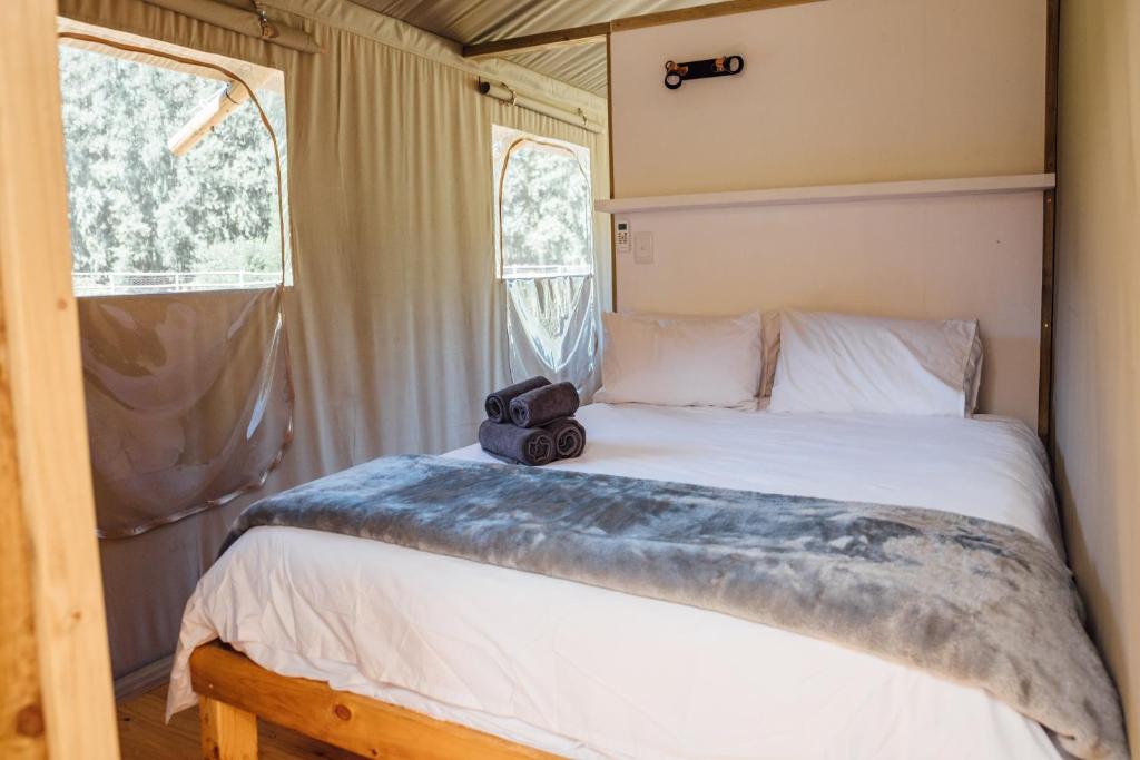 a bedroom with a bed with a camera on it at AfriCamps at Gowan Valley in Balgowan