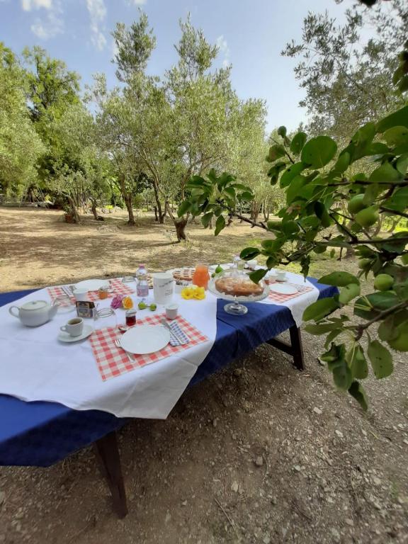 B&B Il Girasole a Sant'Anna Arresi - Delizioso B&B