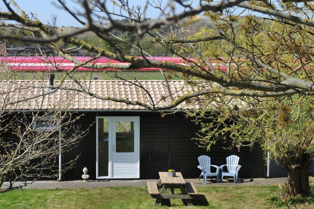 une maison noire avec deux chaises et une table de pique-nique dans l'établissement Chalet Egmond, à Egmond aan den Hoef