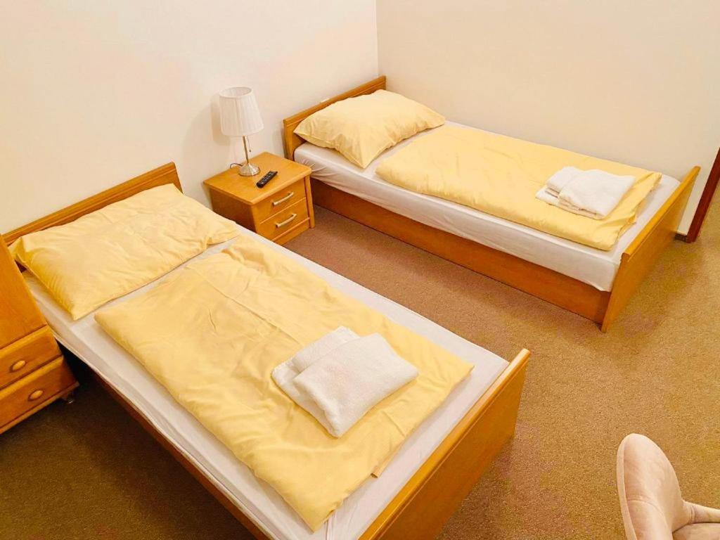 Penzion a restaurace U Červinků - Twin Room With Bathroom