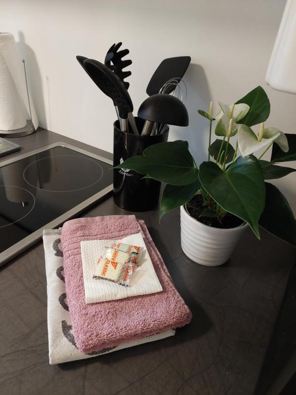 Helles modern eingerichtetes Apartment - One-Bedroom Apartment