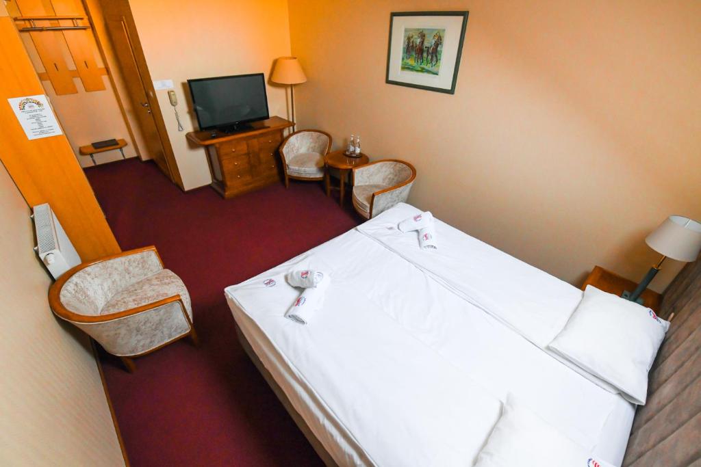 Telewizja i/lub zestaw kina domowego w obiekcie Pensjonat Fitness & Spa Gregor