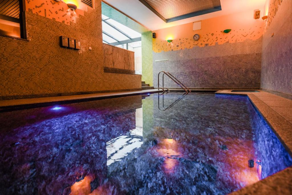basen w pokoju z basenem w obiekcie Pensjonat Fitness & Spa Gregor w Zielonej Górze