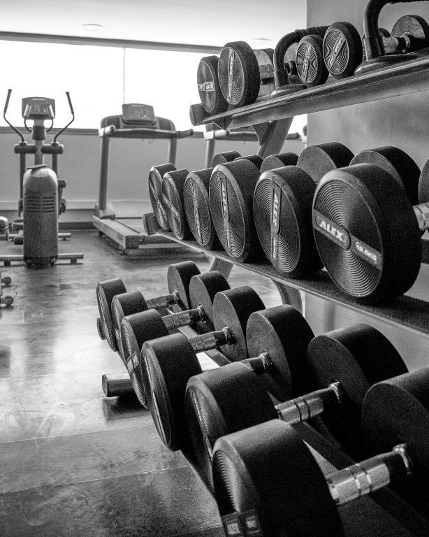 Fitness centrum a/nebo fitness zařízení v ubytování Hotel Stanford
