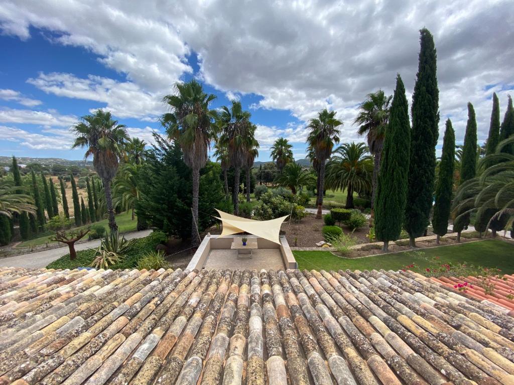 una vista desde el techo de una casa con palmeras en Adamah Vayu -Casa Serenida, en Loulé