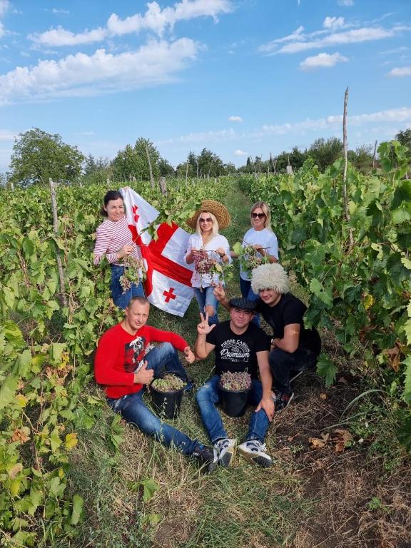 Hosté ubytování Brothers khutsishvili wine cellar