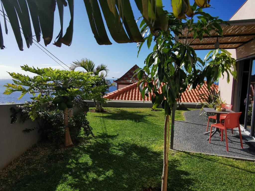 un patio con una mesa y un árbol en Casa Atlantico tropischer Seitenflügel, en Ribeira Brava