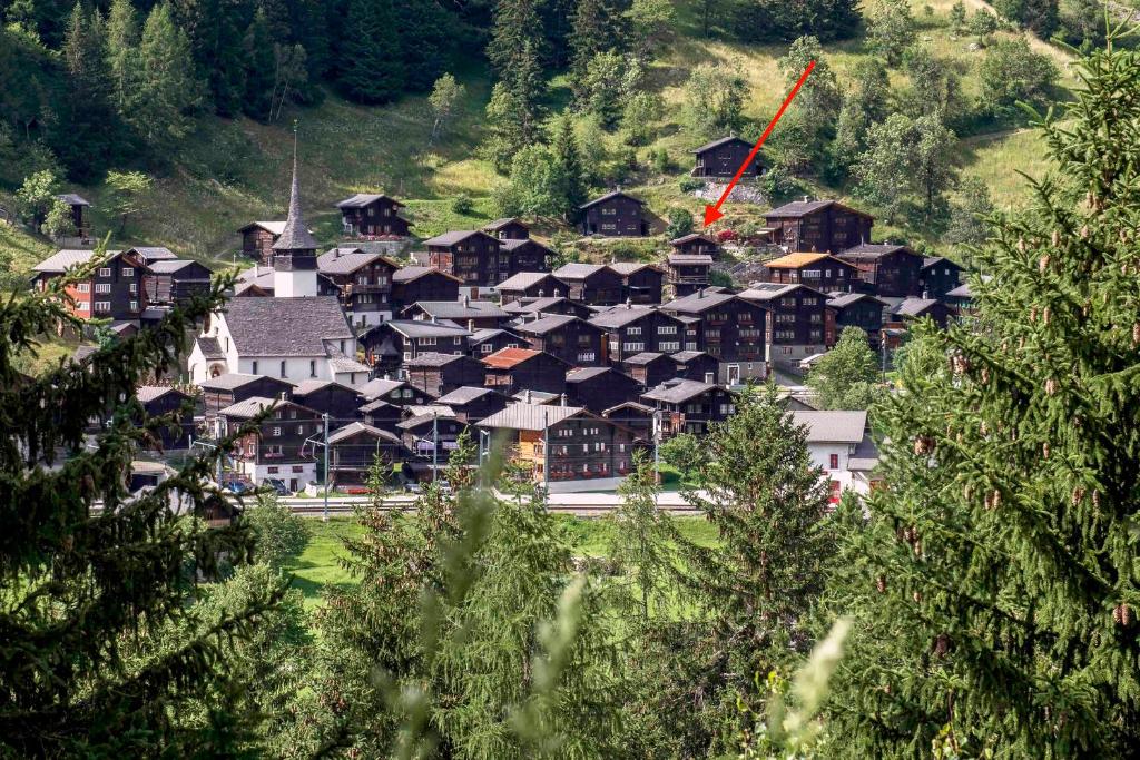Příroda nedaleko apartmánu