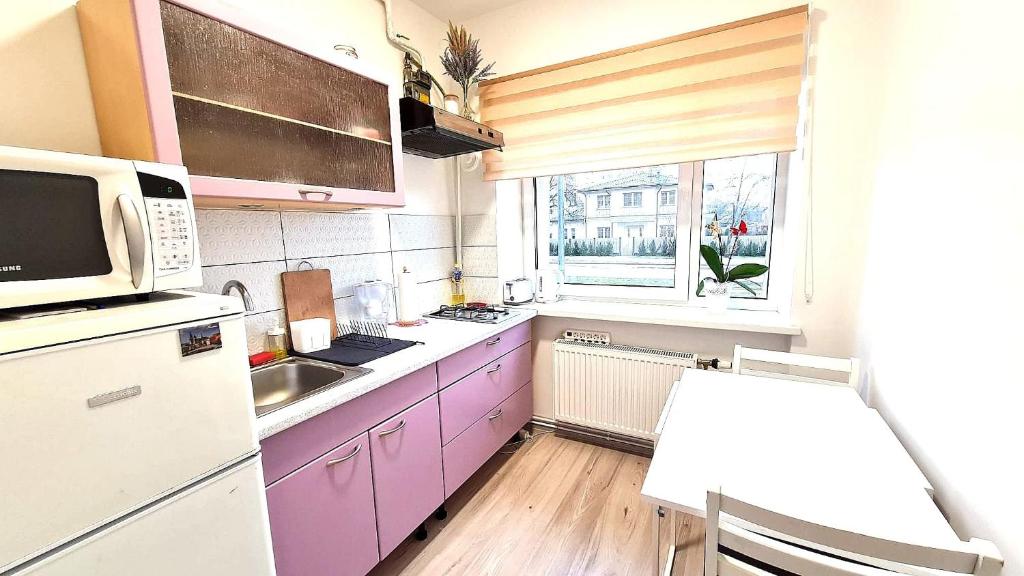 利耶帕亞的住宿－SP Apartment Klaipedas street close to beach，一个带紫色橱柜和窗户的小厨房