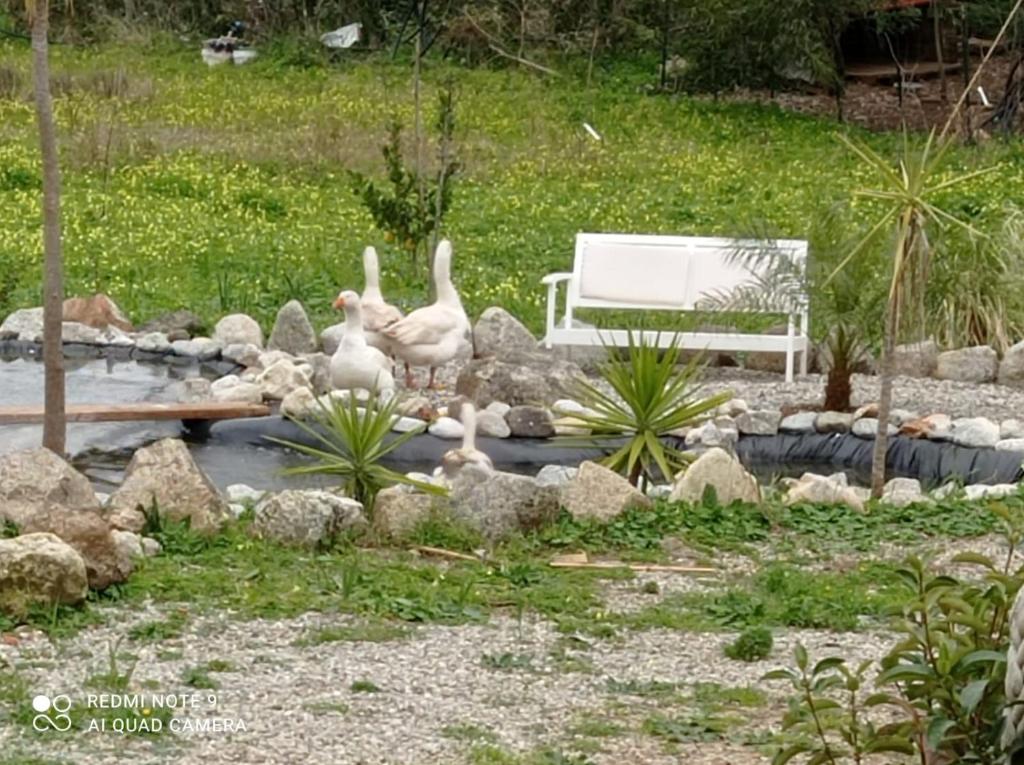 Ogród w obiekcie Al Passo di Thalia