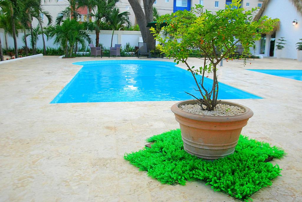 Bazén v ubytování Nuovo Hotel Playa Catalina nebo v jeho okolí
