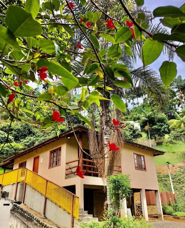 een huis met een boom ervoor bij Sitio dos Palmitos - Casa Pupunha in Pedra Azul