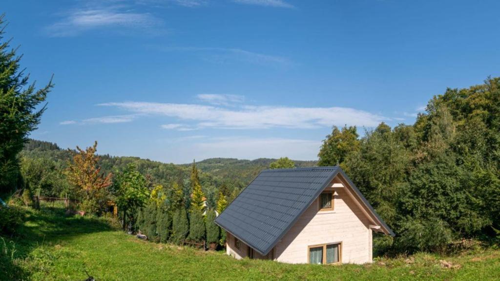 una pequeña casa con un techo negro en un campo en Domek Na Leśnym Wzgórzu, en Pieszyce