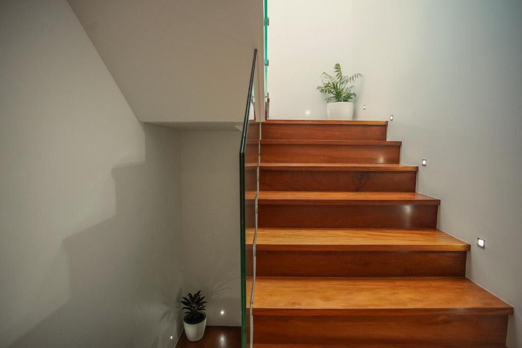 Coast View by Azores Villas - 19