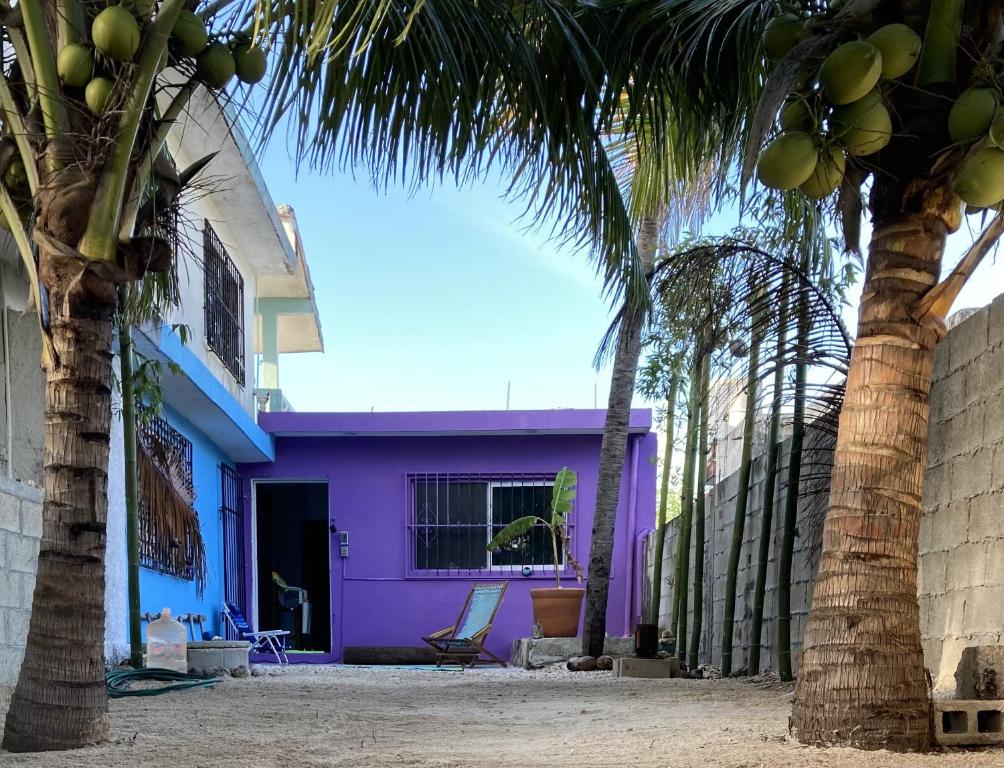 una casa viola con palme di fronte di Corazón Abierto a Chicxulub