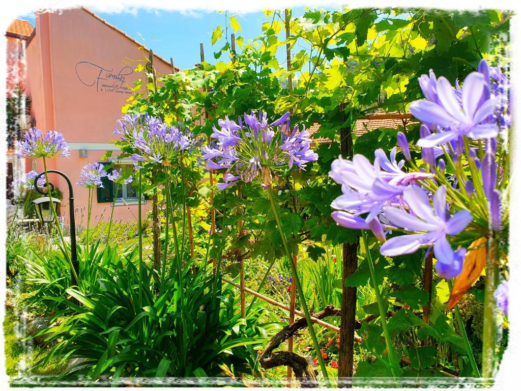 Ogród w obiekcie Casa Vacanze Family