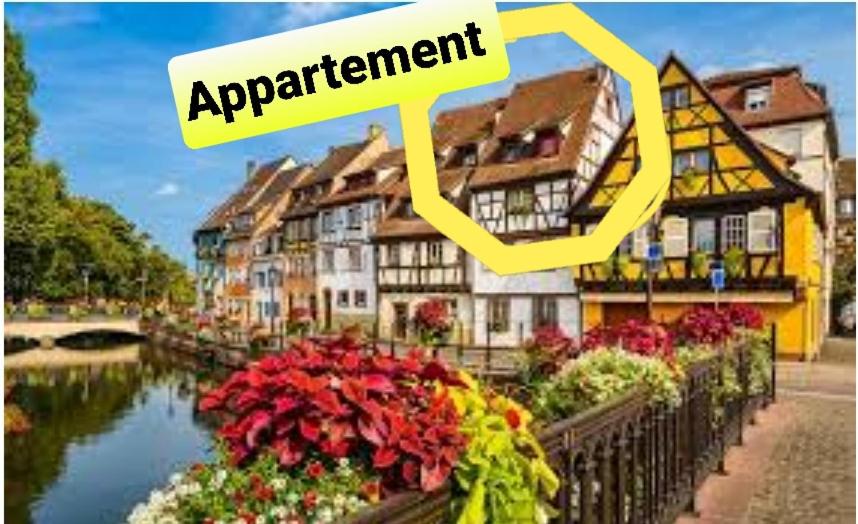 a collage of pictures of a town with flowers at VUE PETITE VENISE-PLACE TO BE OLD TOWN - Parking in Colmar