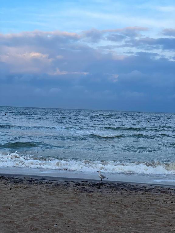 Фото Макарова 77