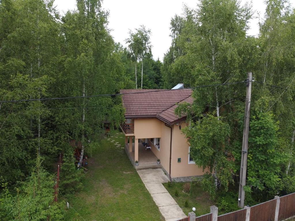 CASA VISTISOARA - Housity