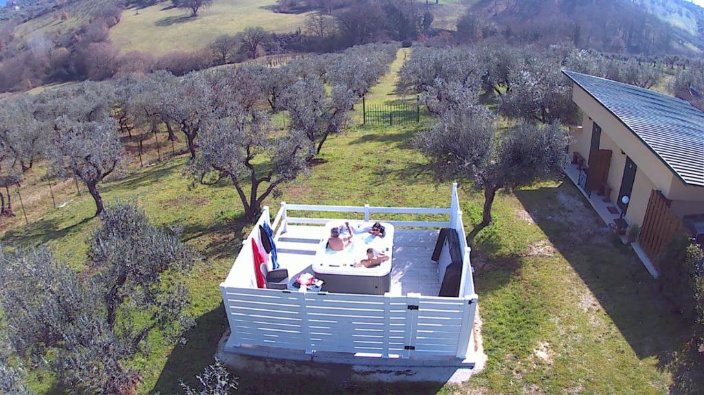 ein Boot auf dem Wasser mit zwei Hunden drin. in der Unterkunft Il Girasole B&B in Cretone