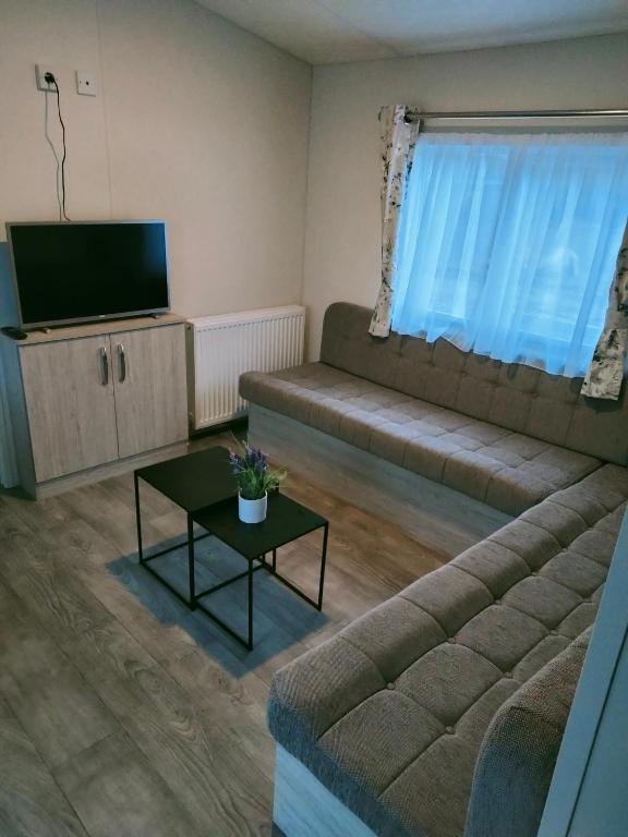 TV a/nebo společenská místnost v ubytování BJ Chalets - De Rug 1 - Vakantiepark Lauwersoog - LUXE chalet met vaatwasser! Vroege incheck!