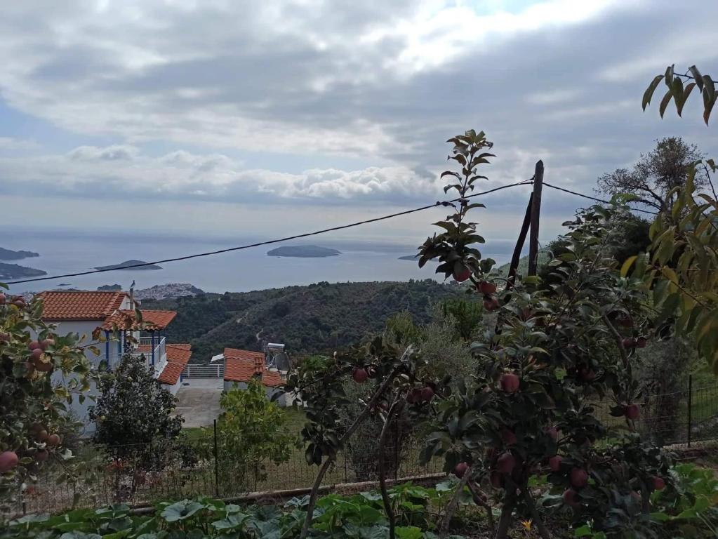 a view of the ocean from a garden at Alexandra's Studios in Kechria