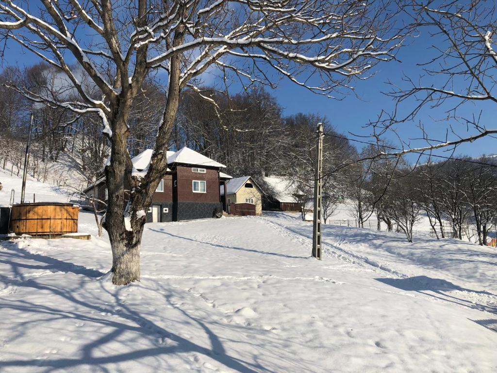 Cabana HATERE v zimě