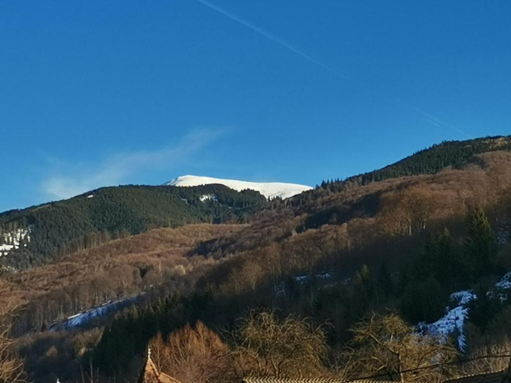 CASUTA CU SINDRILA - Villa