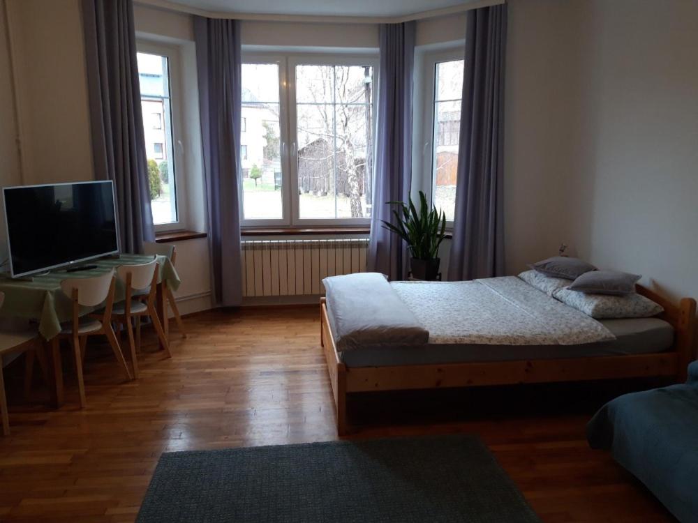 a bedroom with a bed and a desk and windows at Green Apartment House in Bielsko-Biała