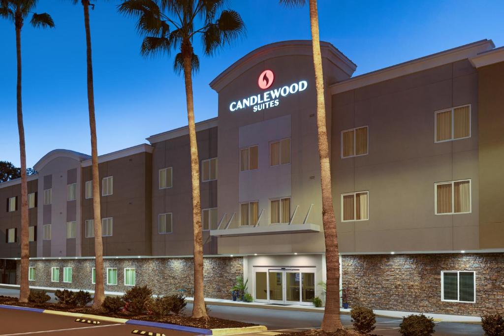 セーフティ・ハーバーにあるCandlewood Suites - Safety Harbor, an IHG Hotelのヤシの木が植えられたホテル正面