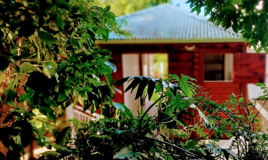 Gite Mamour - Charmant petit bungalow à découvrir - Casa De Una Habitación
