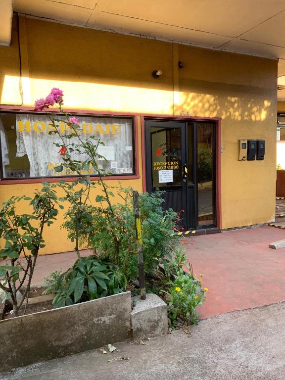 a yellow building with plants in front of it at Hospedaje in Osorno