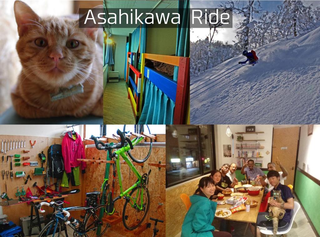 a collage of four pictures with a cat and people eating at Asahikawa Ride in Asahikawa