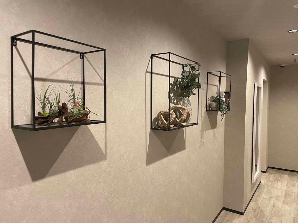 Fotografie z fotogalerie ubytování TOCORO. Mt.Fuji Station HOSTEL Kawaguchiko v destinaci Fudžikawagučiko
