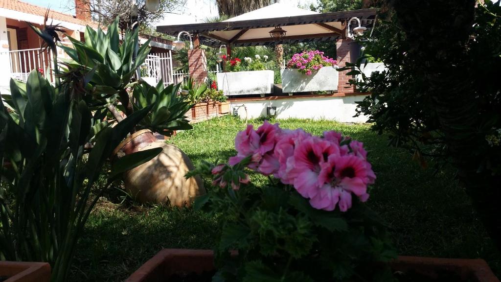 a garden with pink flowers in the grass at A Real Oasis In The City, in Palermo