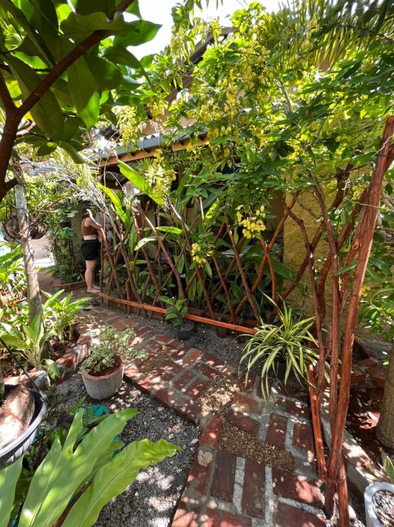 Ruwan Jungle Homestay - 16