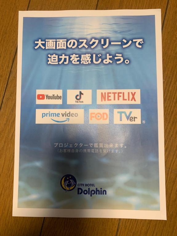 City Hotel Dolphin - Superior Double Room With 80 Inch Projector