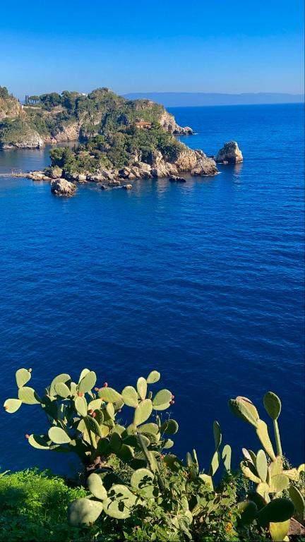 Appartamento Isola Bella