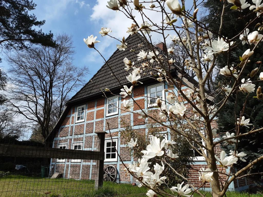 un árbol con flores blancas delante de una casa en Schönes Apartment vor den Toren Hamburgs - keine Monteurwohnung, en Asendorf