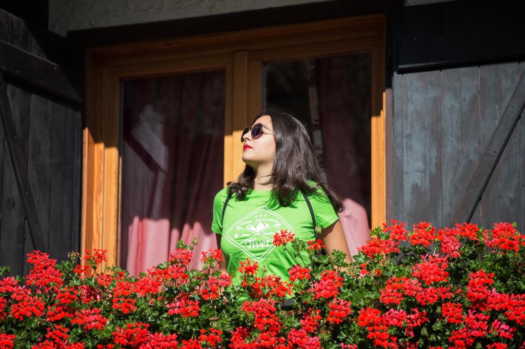 Hosté ubytování Hotel Tivet