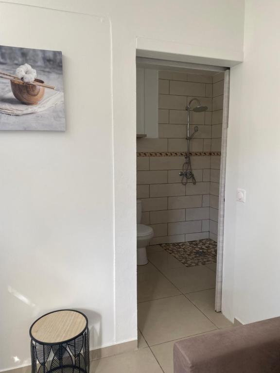Koupelna v ubytování Chez Hugo, bel appartement très bien situé pour visiter la Martinique en journée et dormir la nuit