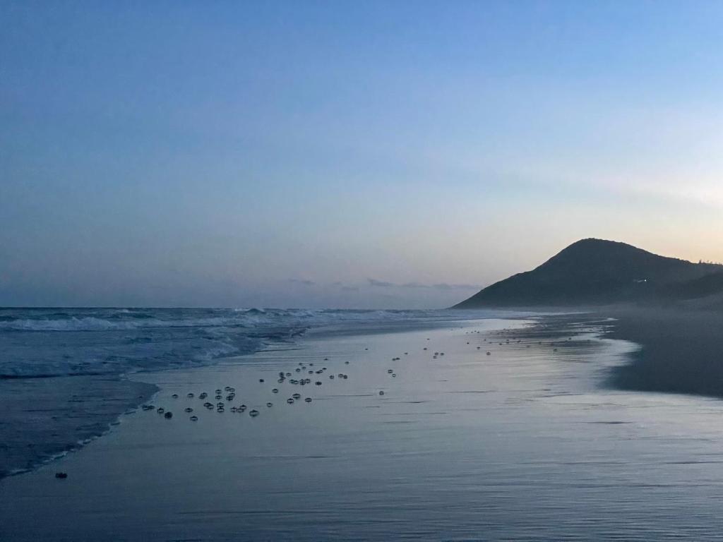 Paesaggio naturale nelle vicinanze della villa
