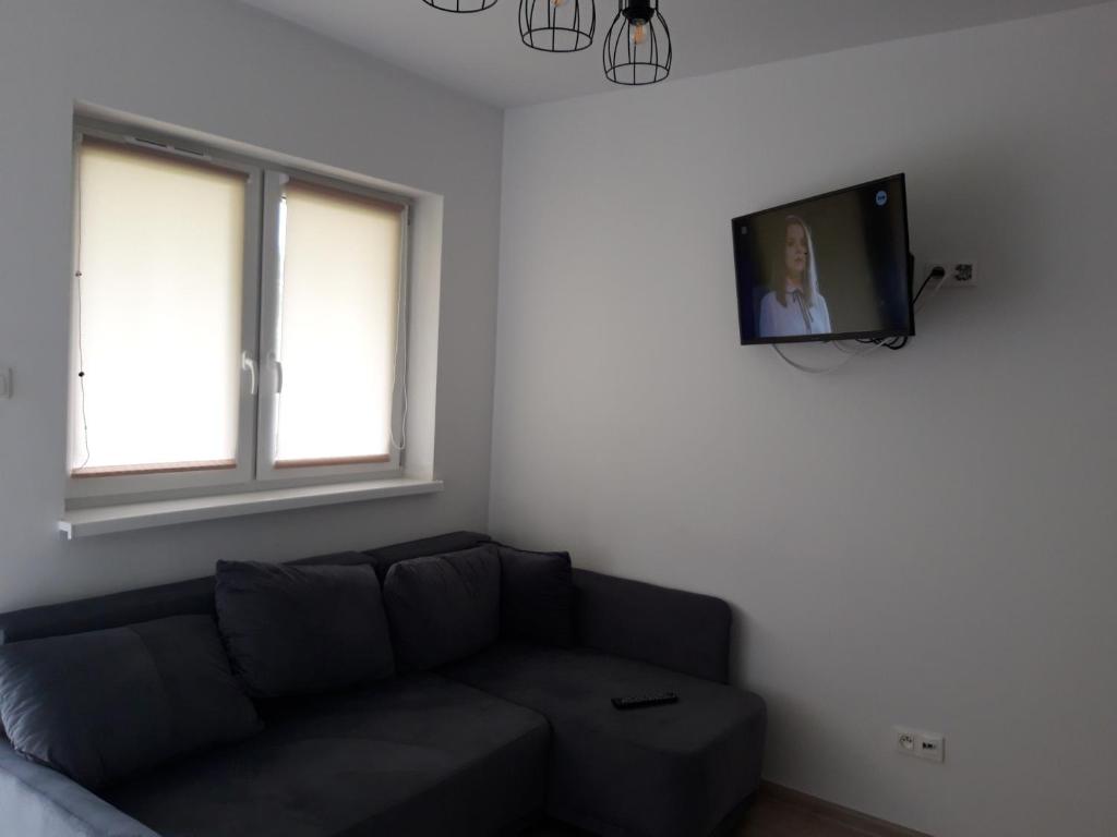 a living room with a couch and a flat screen tv at Apartament Nova in Dębina