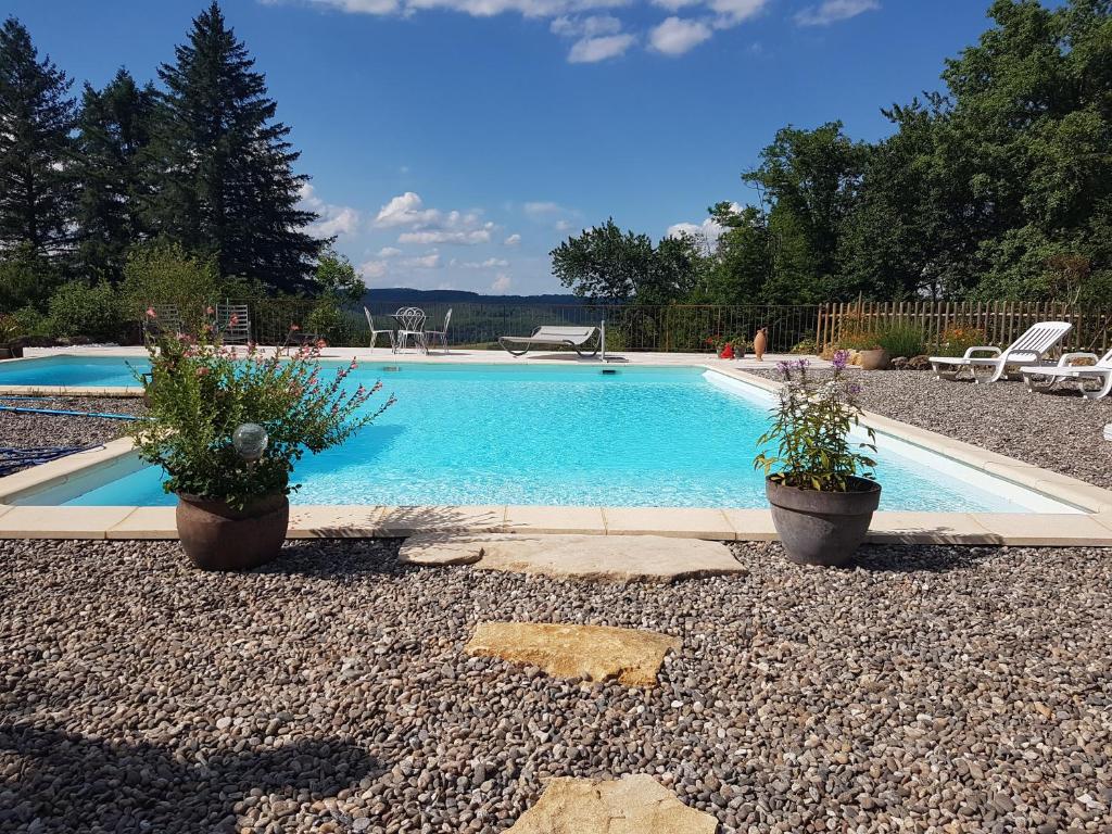 a swimming pool with two potted plants next to it at Maison de Vacances in Tursac