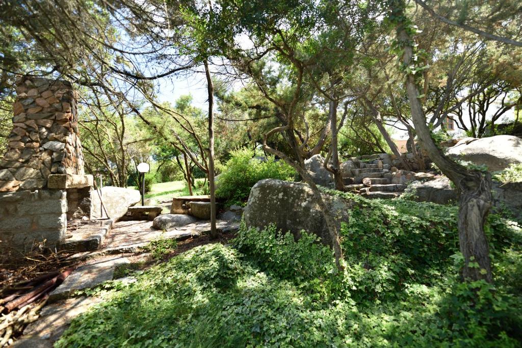 A garden outside Villa Orrì