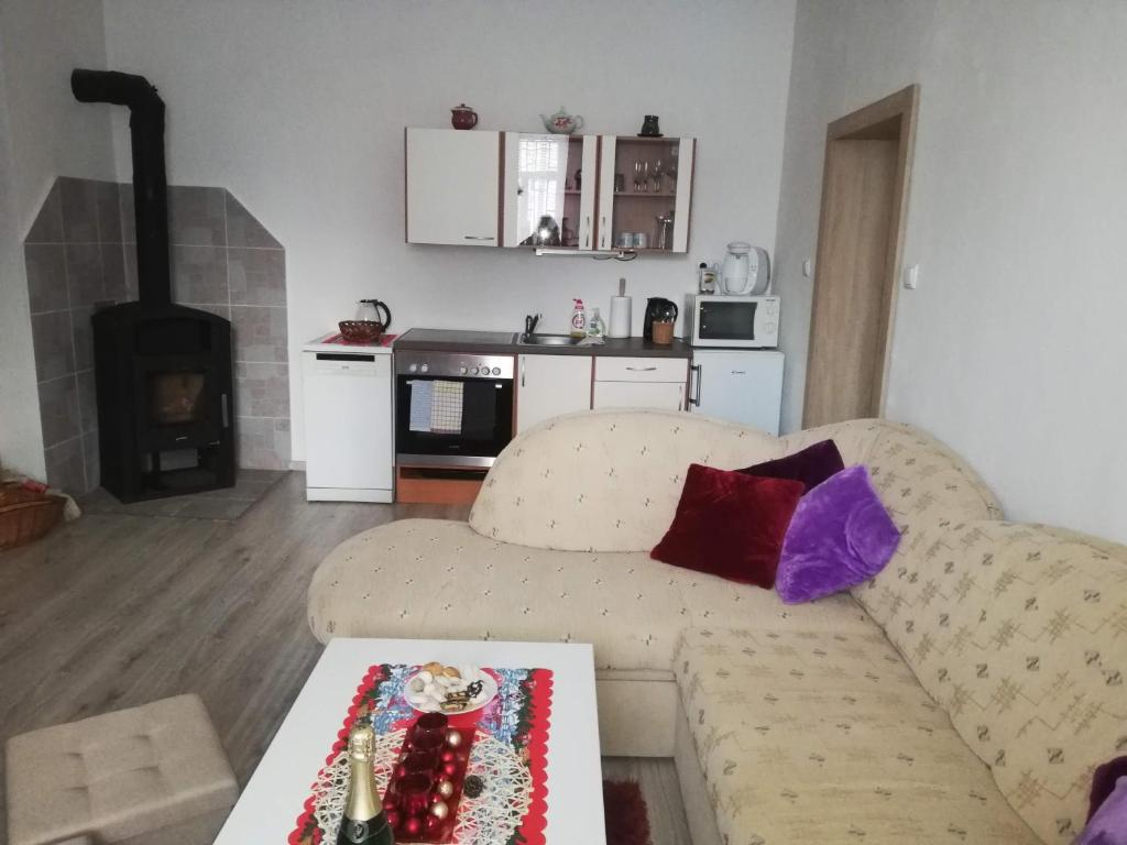 a living room with a couch and a fireplace at Apartmán Petra in Kovářská
