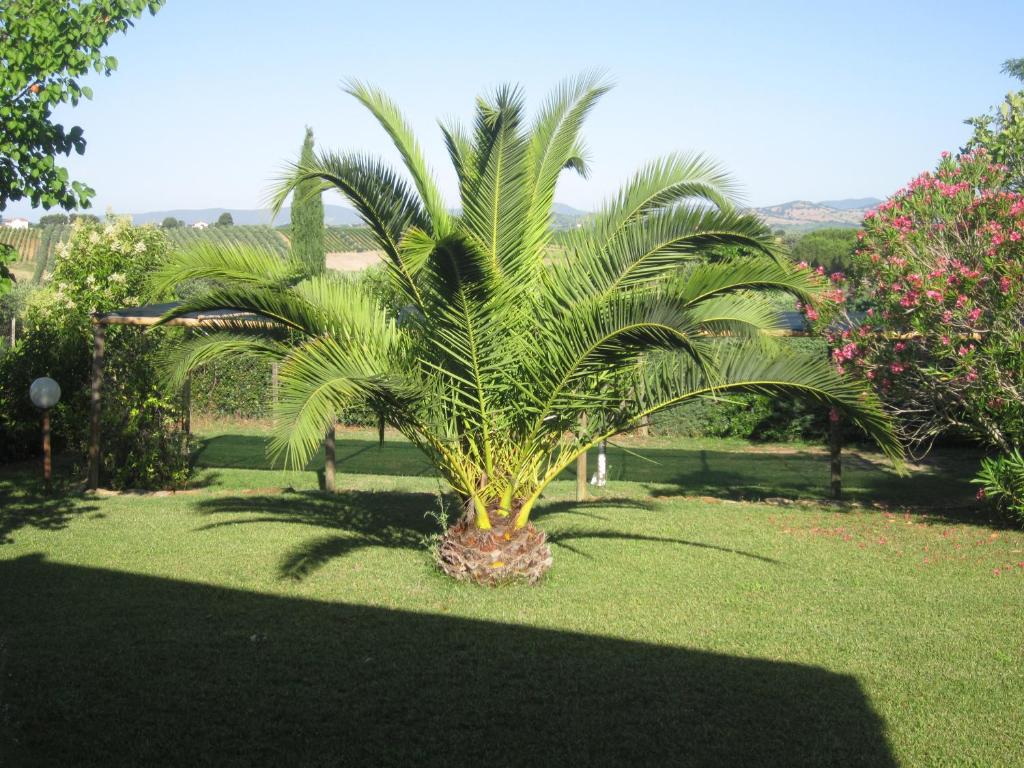 Zahrada ubytování Agriturismo La Carlina