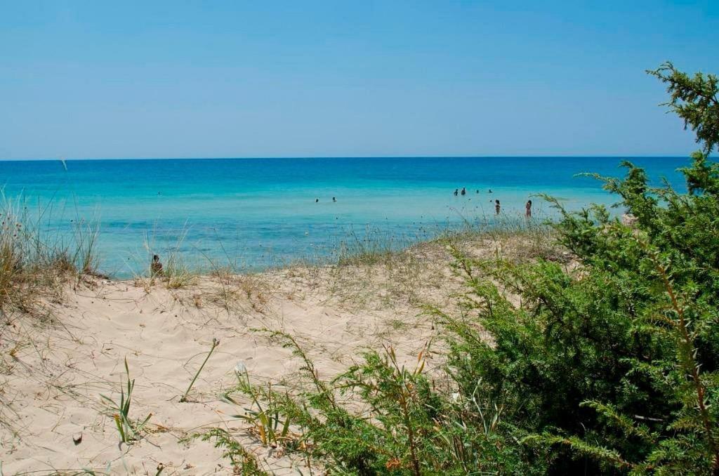 Paesaggio naturale nelle vicinanze dell'hotel