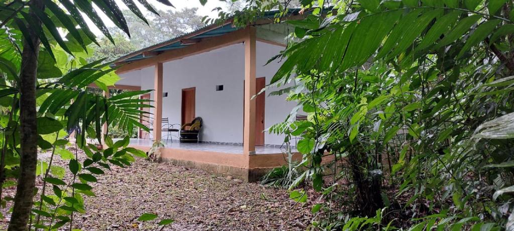 una pequeña casa blanca en medio de un bosque en Cabaña Sak Ja Selva Lacandona en Nuevo Progreso