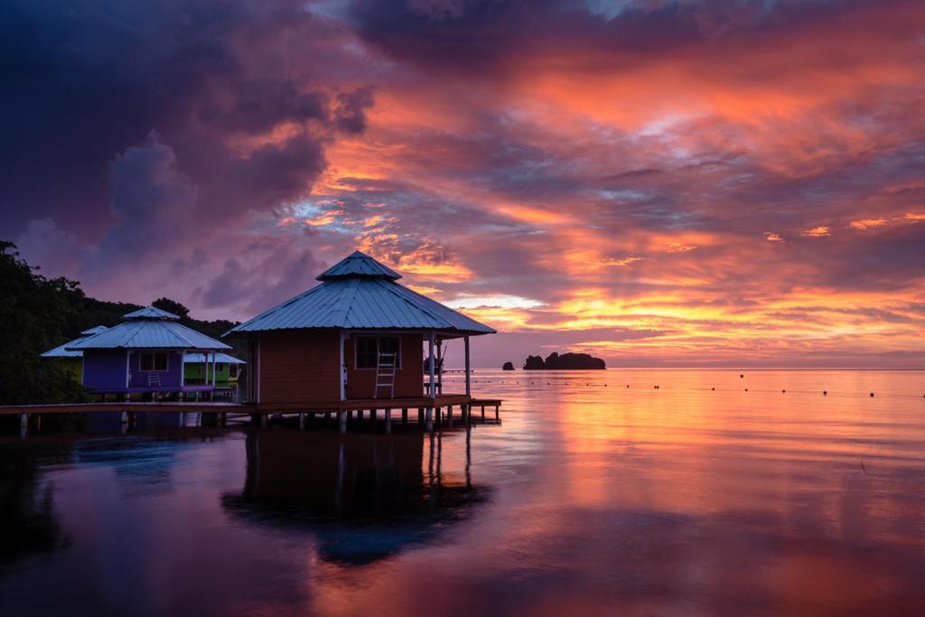 dwie chaty w doku w wodzie o zachodzie słońca w obiekcie Mango Creek Lodge w mieście Port Royal